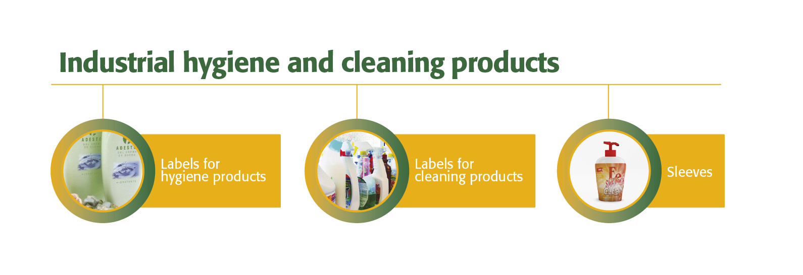 Hygiene and Cleaning Products Industry